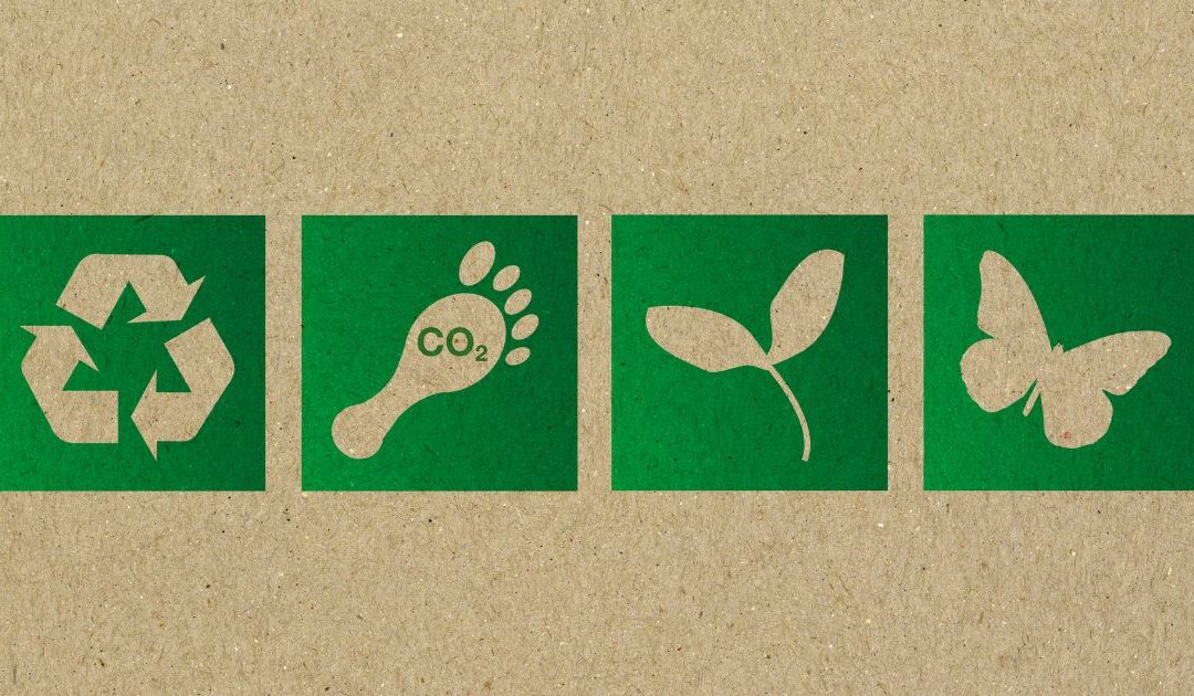 Embalajes Eco-Friendly: Sostenibilidad y Estilo 🌱🌿