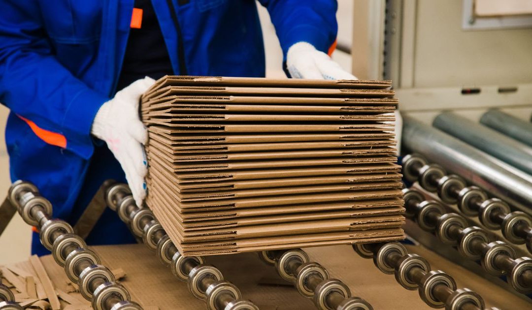 📦 5 Tips para Elegir el Mejor Tipo de Caja de Cartón ♻️